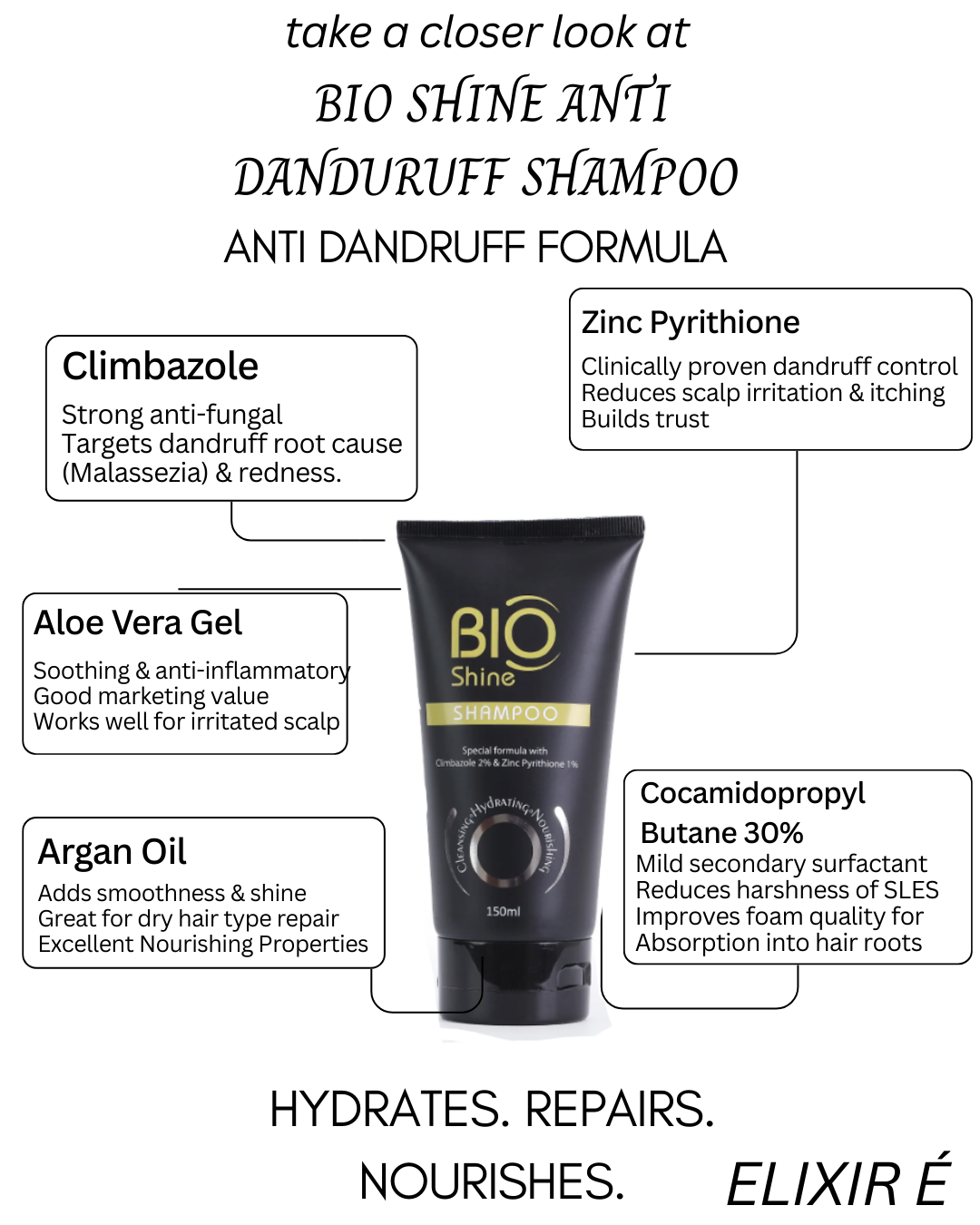 Elixir É Bio Shine Anti Dandruff Hair Shampoo